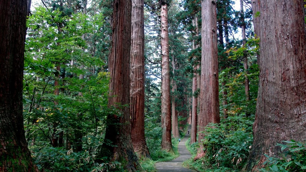 הר האגוּרוֹ