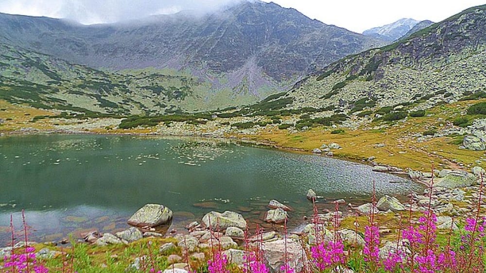 הר מוּסָלַה