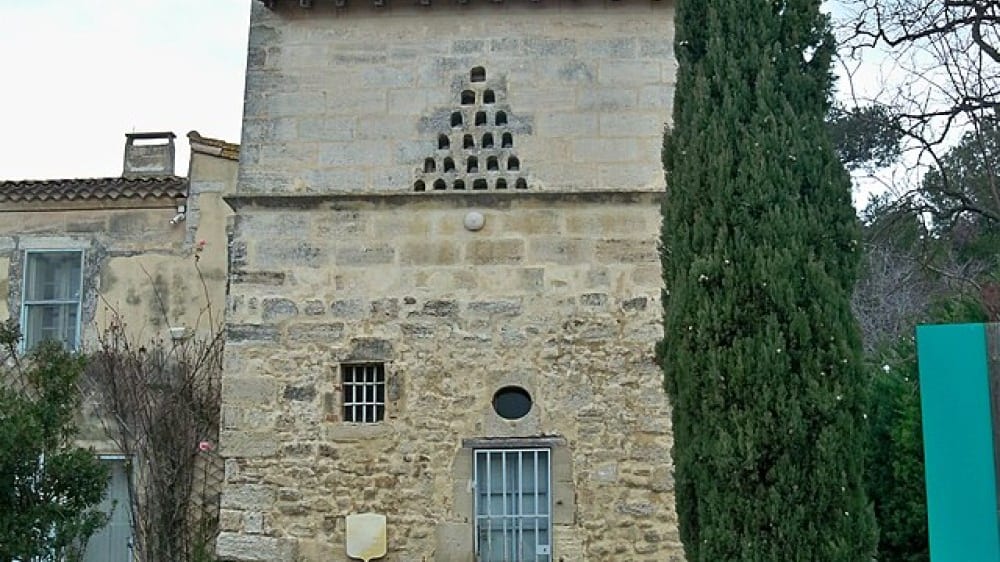 מוזיאון קאמארג