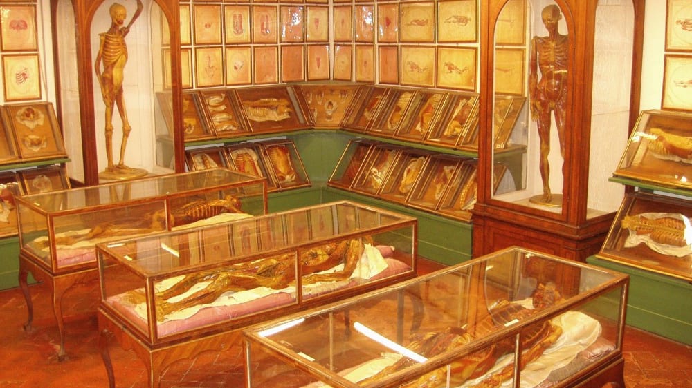 לָה ספֶּקוֹלָה