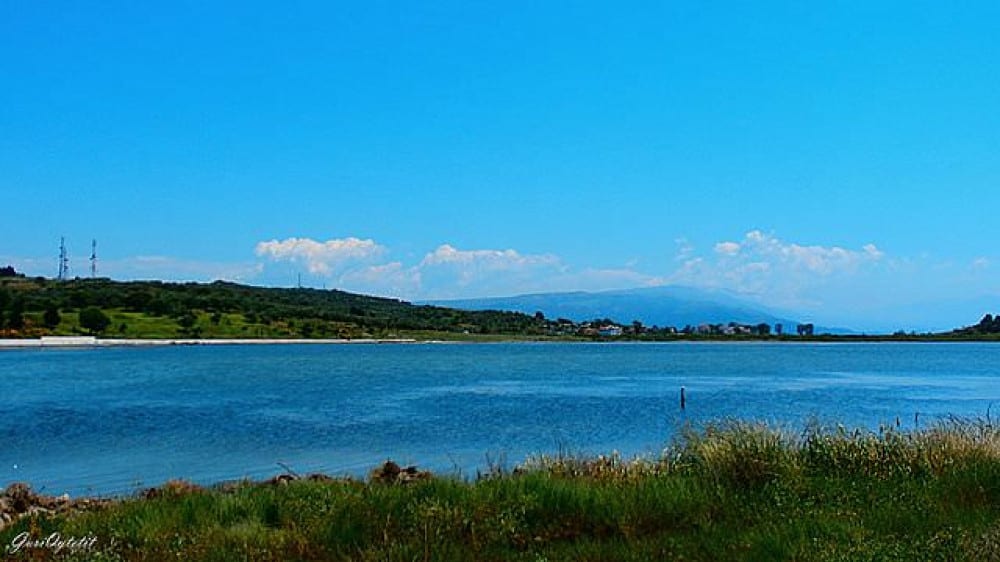 חוף נָרְטָה