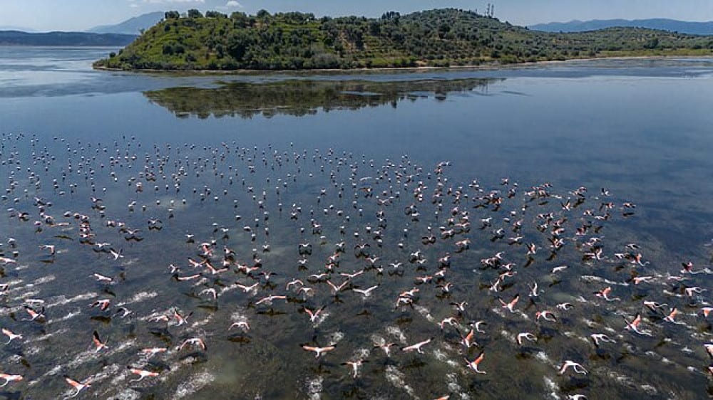 לגונת נָרְטָה