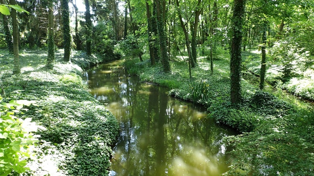 הגן הבוטאני הלאומי ואצראטוֹט