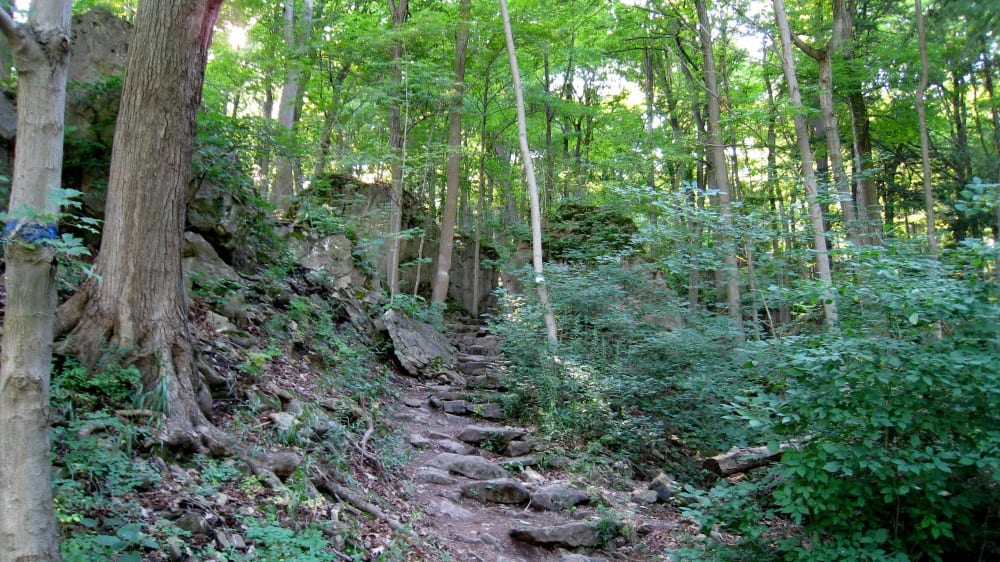 שמורת הטבע ניאגרה גלֶן