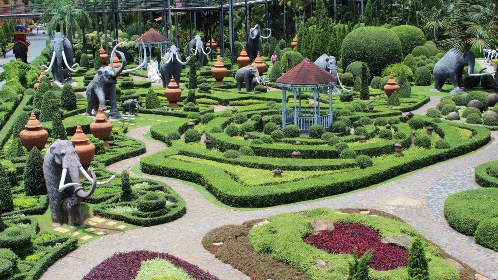 גן הממוטות בגן הטרופי נוֹנְג נוּץ'