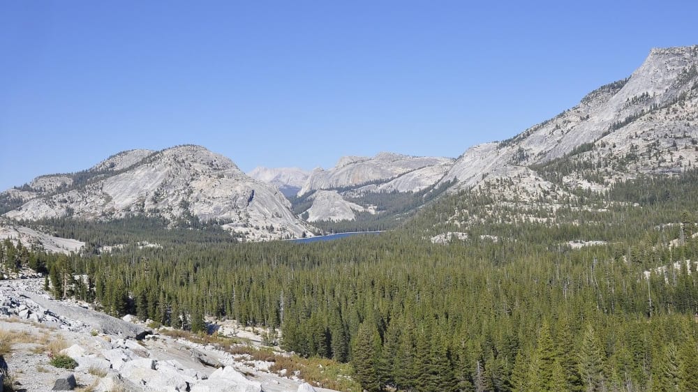 תצפית אולמסטֶד