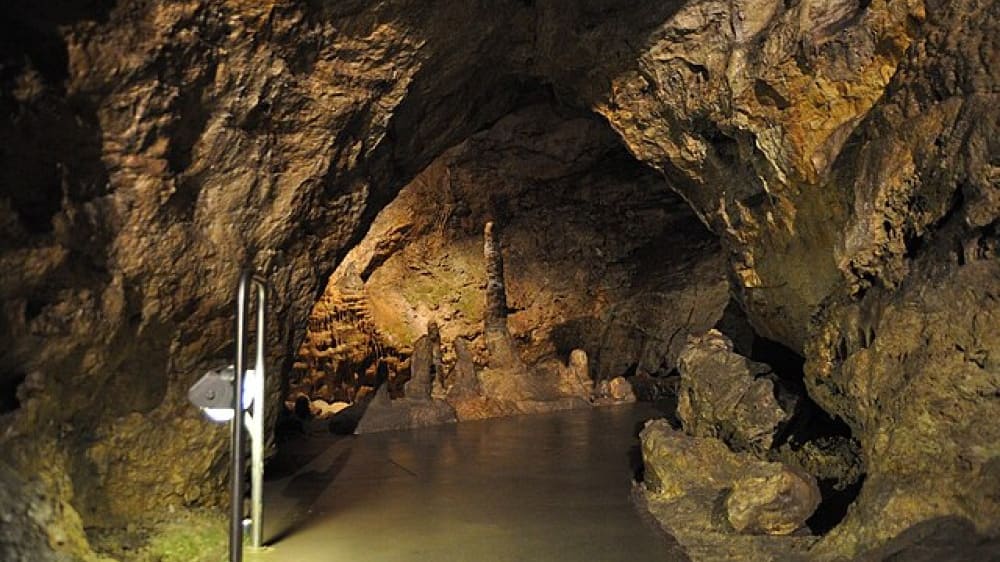 מערת פּאל-ווֹלד