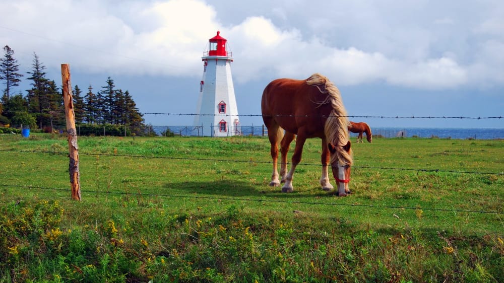 המגדלור בפֶּנמיוּר איילנד