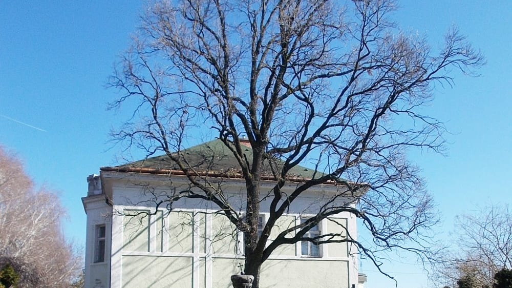 המוזיאון לפפריקה בקלוצ׳ה