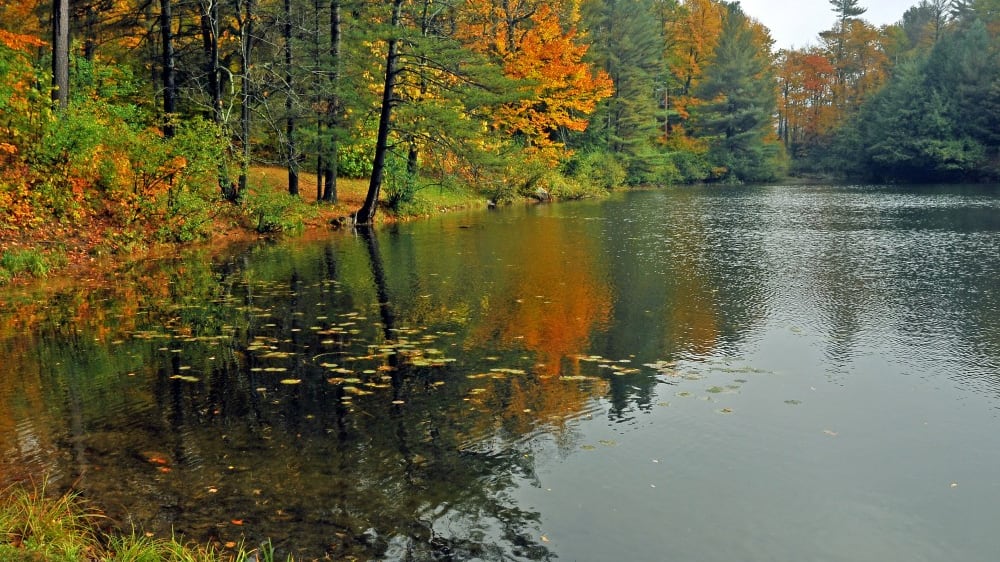 גאטינוֹ פארק