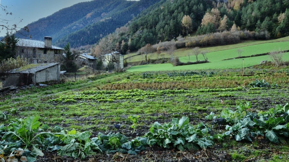 פארק הטבע ואל דֶה סוֹרטֶני