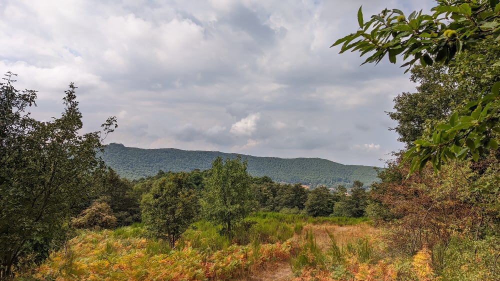 הפארק האזורי קָסטֶלִי רוֹמאני