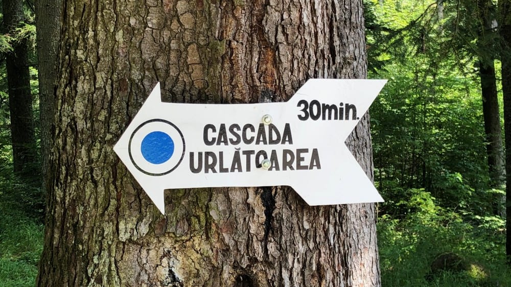 תחילת שביל ההליכה אל המפל השואג בשמורת בּוּצֶ׳ג׳