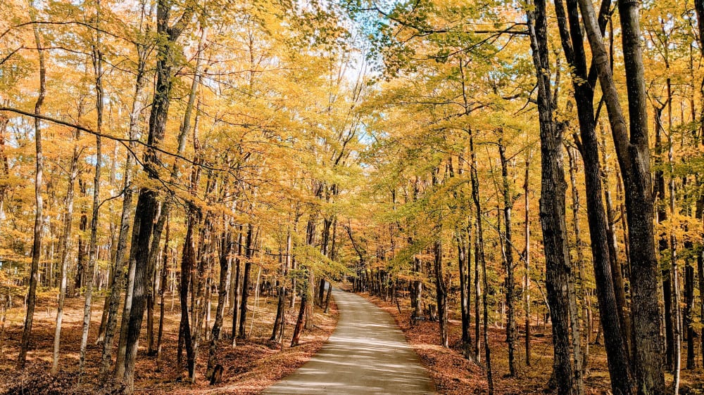 פארק המדינה פֶּנינסוּלָה