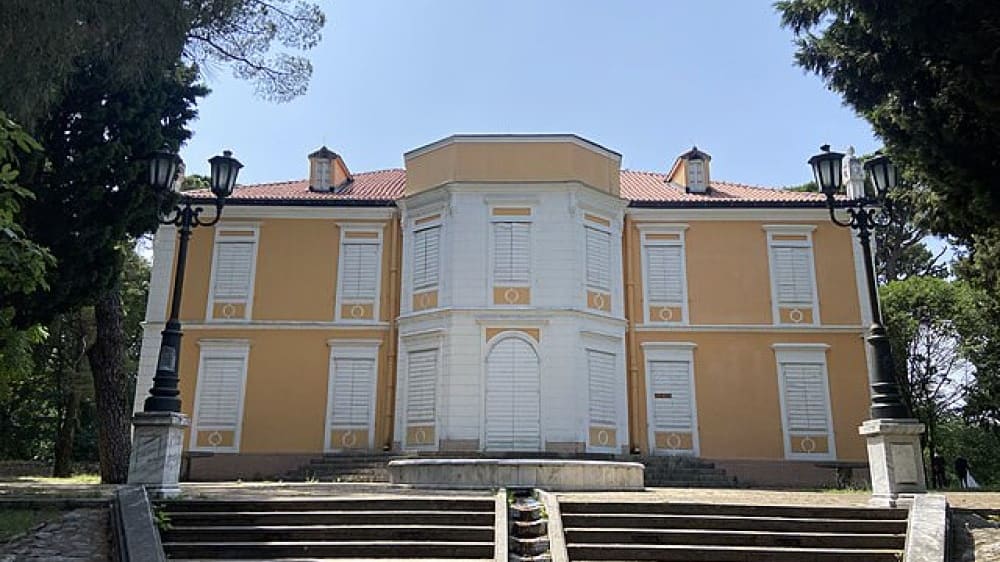 ארמון פֶטְרוֹביץ׳