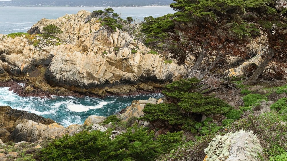 שמורת פּוינט לובּוס