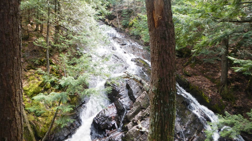 פארק המדינה פּוֹרקיוּפַּיין מאונטנז