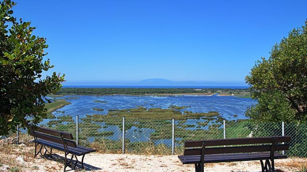 לגונת פְּרוֹקוֹפּוֹס