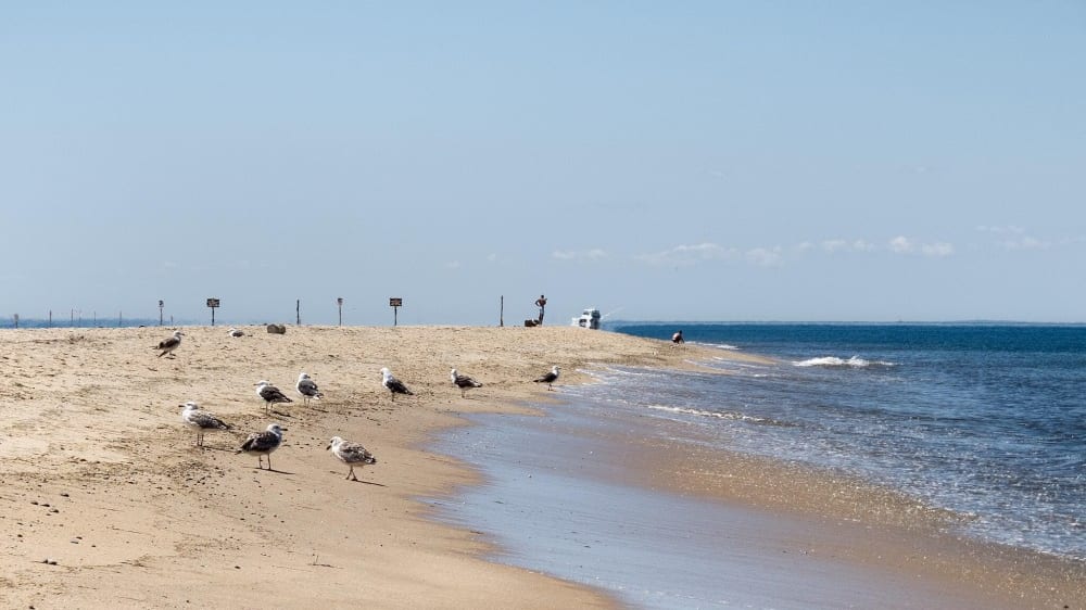 חוף רייס פוינט