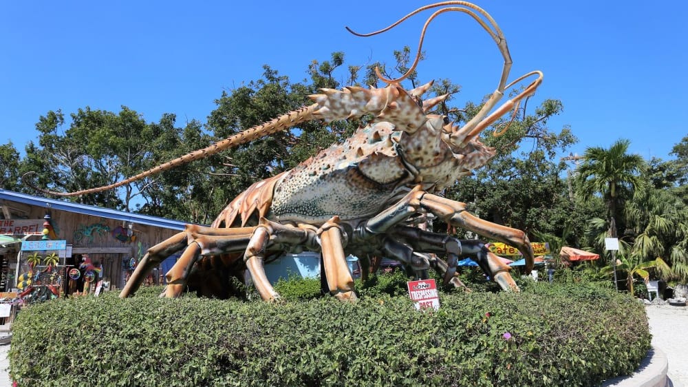 בטסי, פסל ענקי של לובסטר, בכניסה לריין בארל וילאג'