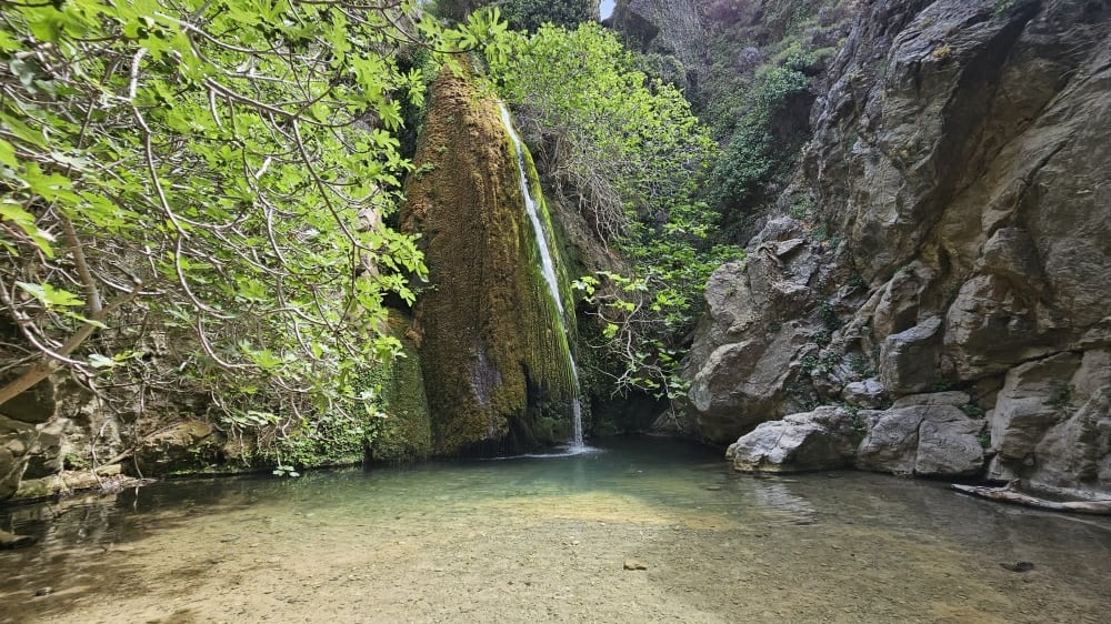 קניון ריכטיס