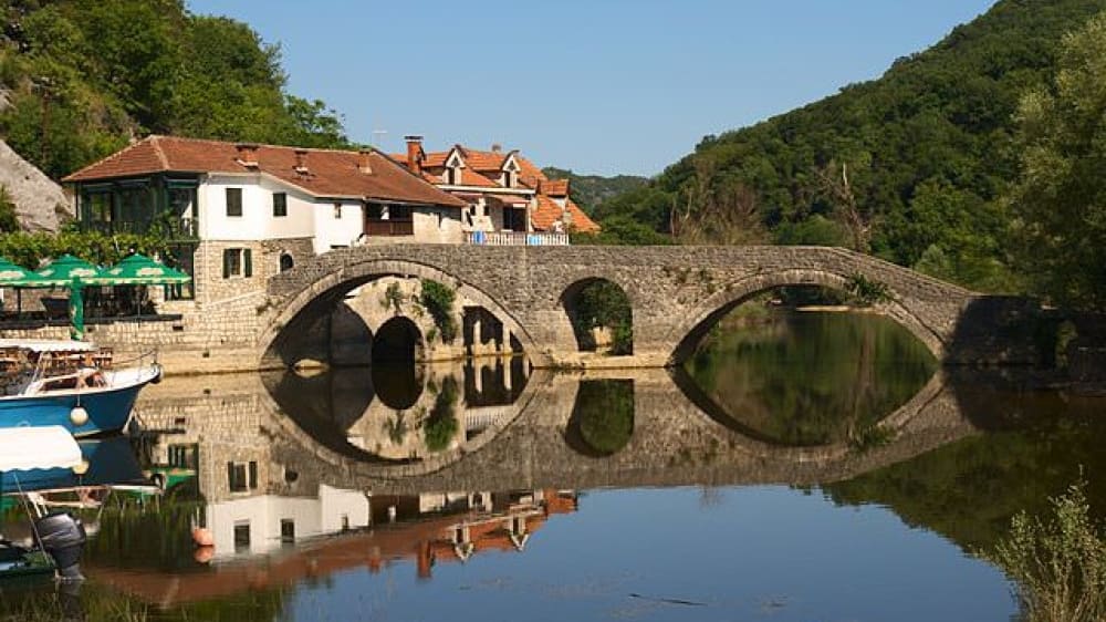 רִייֶקָה צְרְנוֹיֶיביצָ׳ה