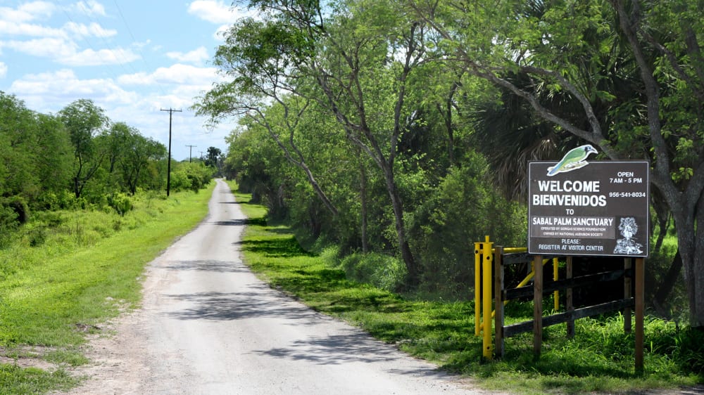 שמורת סֵייבּל פאלם