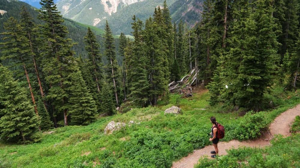 היער הלאומי סן חואן