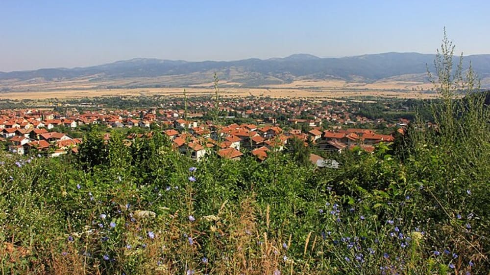 סָפָּרֶבָה בָּנִיָה