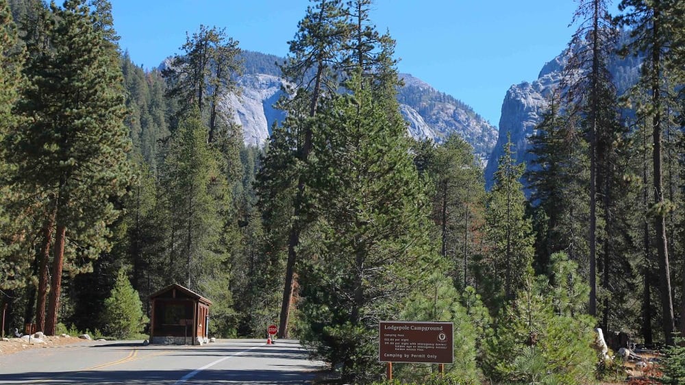 הפארקים הלאומיים סקוויה וקינגס קניון