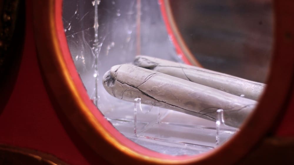 המיצג העתיק ביותר במוזיאון מכונות המין, מתוארך לשנת 25,000 לפני הספירה.