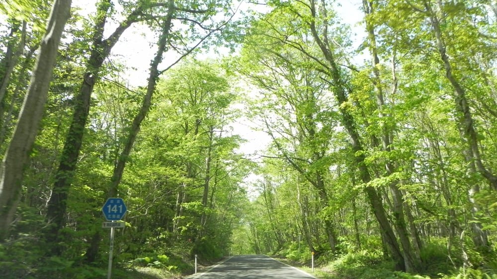 הפארק הלאומי שיקוֹצוּ־טוֹיָה