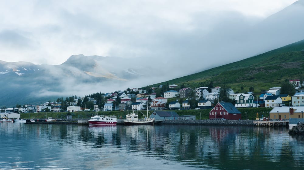 סיקלוּפיֶרדוּר