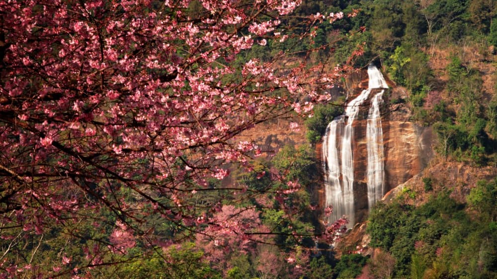 מפל סיריפּוּם