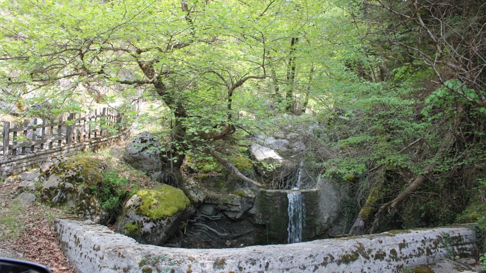 מזרקת סְקאלָה
