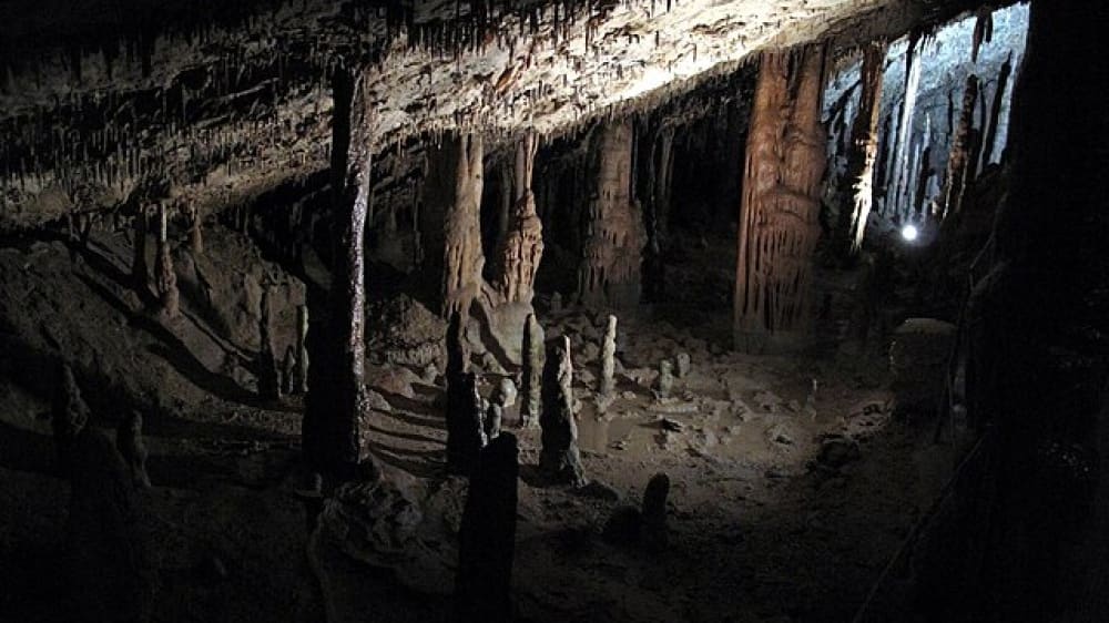 מערות שקוֹציאן