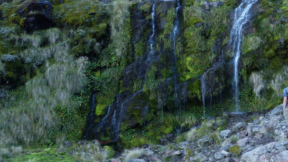 מעיינות סודה