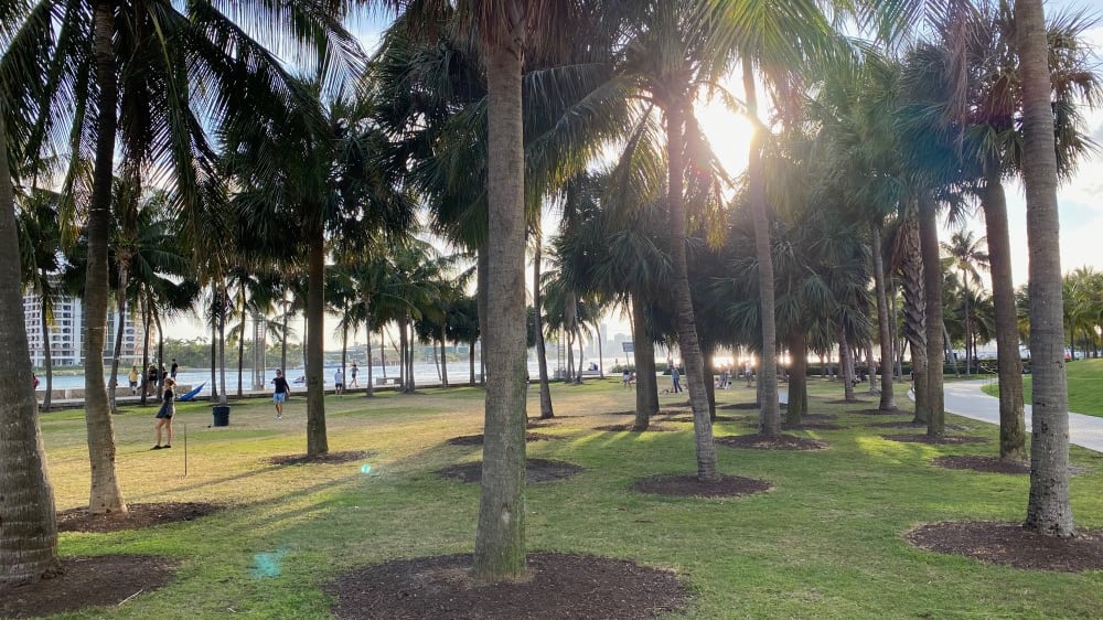 סאות׳ פוינט פארק