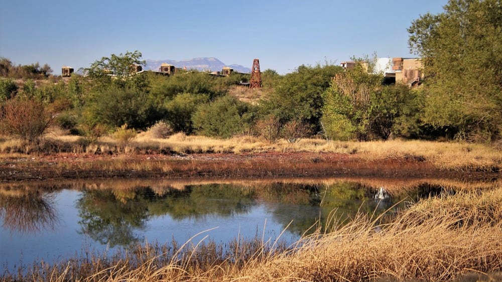 שמורת המעיינות