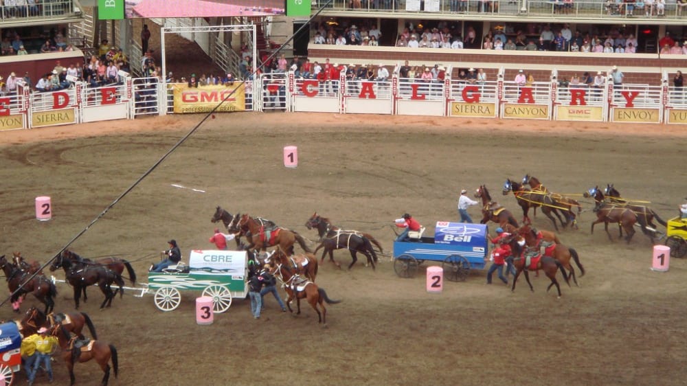 סטֶמפּיד פארק