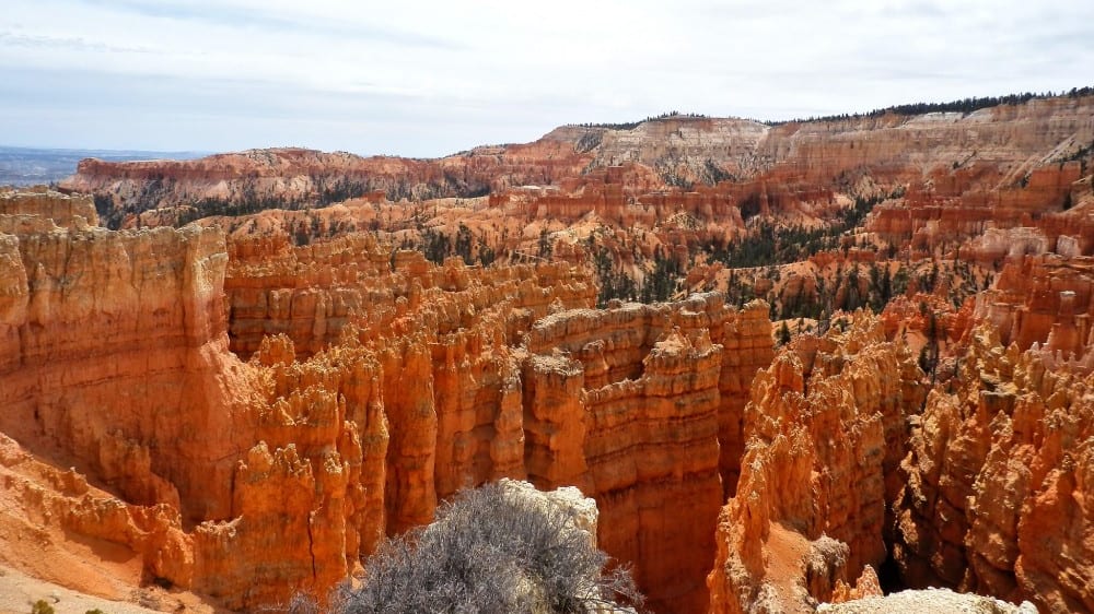 סאנסט פוינט