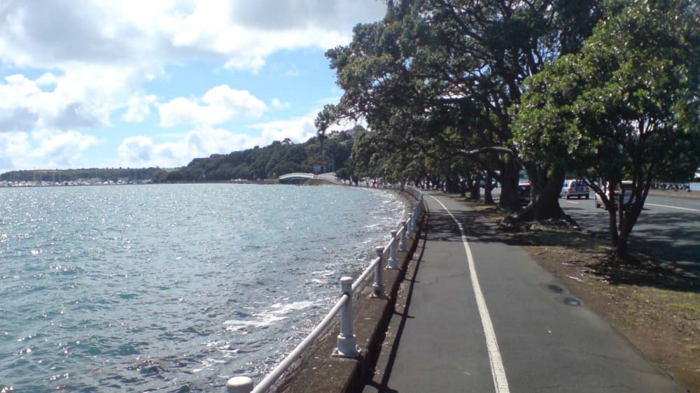 טאמאקי דרייב