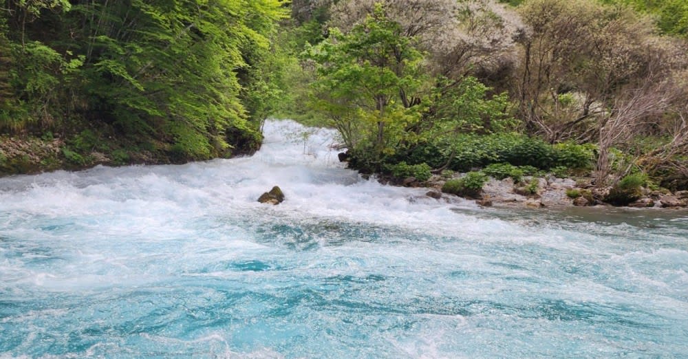 קניון טארָה