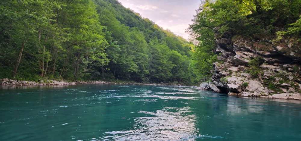 קניון טארָה