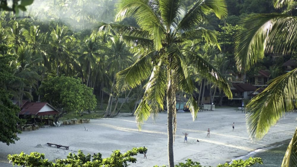 חוף תאן סָאדט