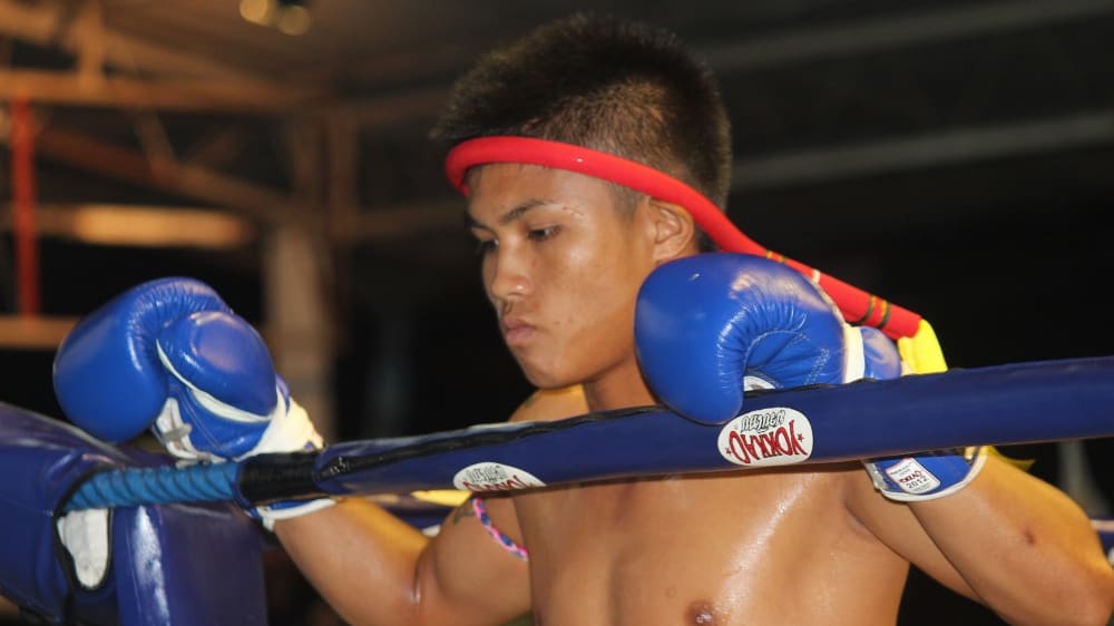 אצטדיון האגרוף טָאפֶּה