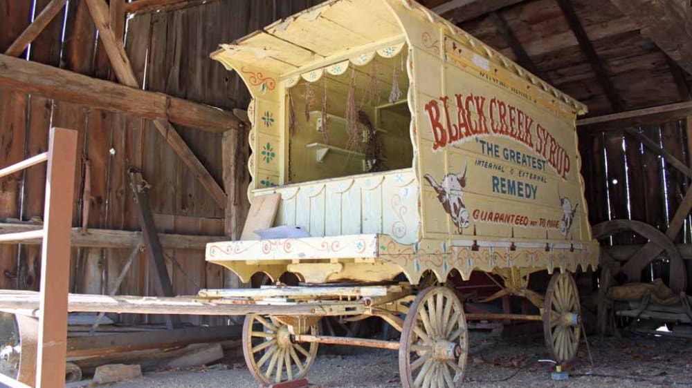 כפר החלוצים בּלֶק קריק