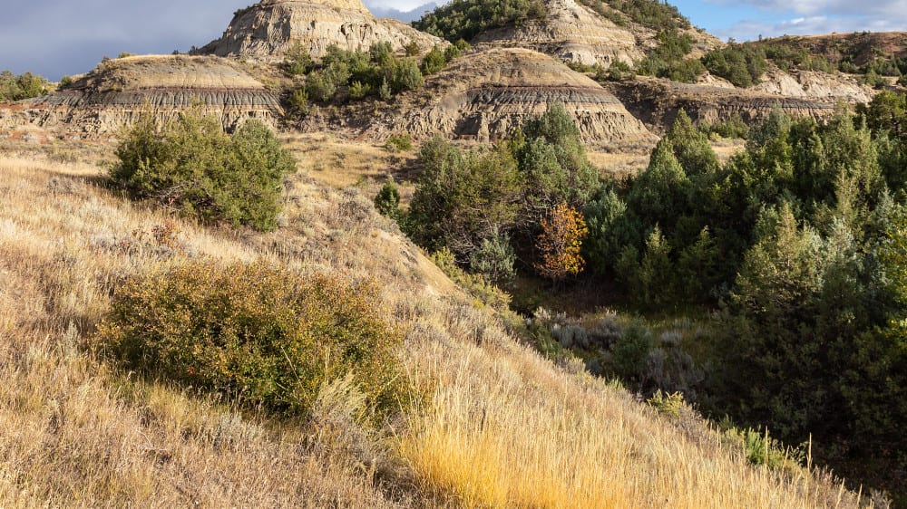 הפארק הלאומי תאודור רוזוולט