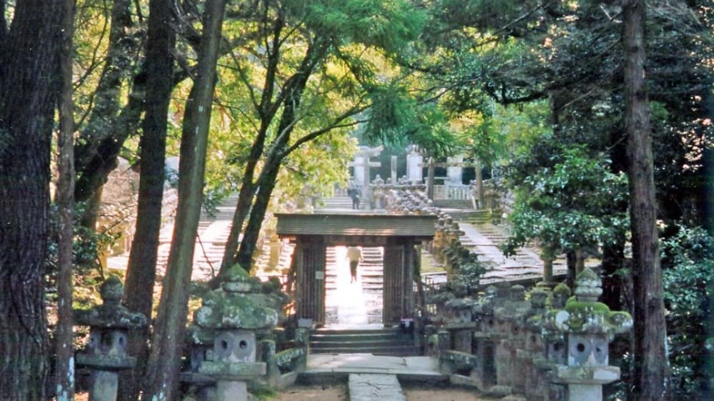 טוֹקוֹ־ג׳י