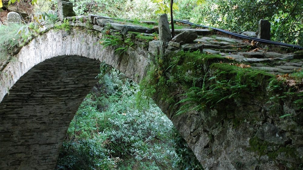 גשר אבן בלב יער הערמונים, צָגָראדָה